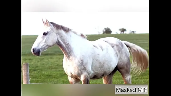 Μεγάλα Horny Milf takes giant horse cock dildo compilation | Masked Milf ενεργειακά βίντεο